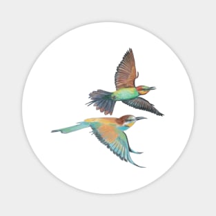 Bee-eater in Flight Illustration Magnet